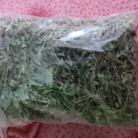 آویشن کوهی