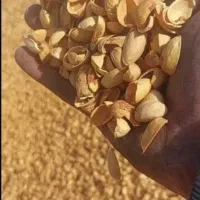 خریدار پوست پسته