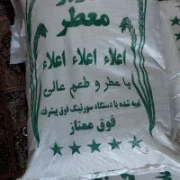 برنج عنبر ، چمپا ، فجر