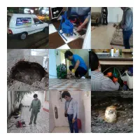 نشت یابی و لوله بازکنی ایمانی