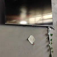 65 اینچ ایوا ژاپن