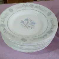 ده عددآکروپال خورشت خوری