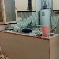 کابینت کار کرده همراه با سینگ و هود