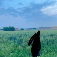 زمین-1000-متری-کشاورزی-معاوضه-با-ماشین