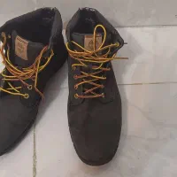 پوتین اورجینال