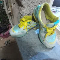 کتونی زدیکس