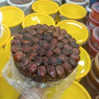 انواع خرما عمده فروشی