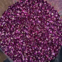 خشک شده گل محمدی امسال نادیلو