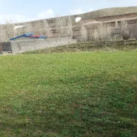 زمین باغی