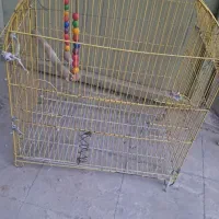 قفس پرنده