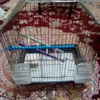 قفس پرنده