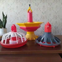 دانخوری پارس و کناوی