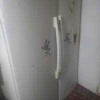 یخچال  و فریزر الکترو استیل