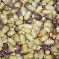 فروش خارک سعمران