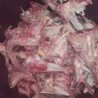 اسکلت مرغ مخصوص سگ و گربه
