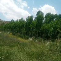 فروش