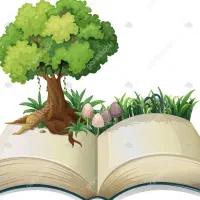 دهم تجربی 1404.1405