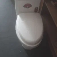 تولت فرنگی نو