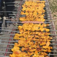 ستاره گردشگری استان یزد-تفرجگاه جنگلی چشمه بوز