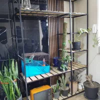 قفسه رگال پروفیل سنگین فروشی