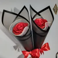 گل  فقط 100تومن