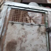 در اقول کفتر
