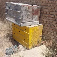 قفس سگ باکس سگ