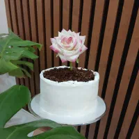 تهیه و آموزش شکلات صبحانه .شیرینی و کیک خانگی چشمک