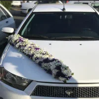 اجاره دنا پلاس ماشین عروس