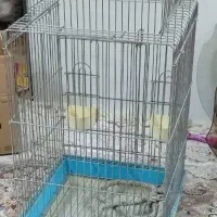 قفس پرنده