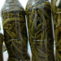 خیارشور خانگی سوپر