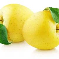 جمع آوری سیب