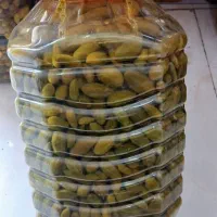 پخش انواع ترشی