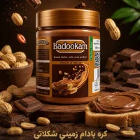 جذب نمایندگی بانه