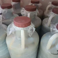 خیارشور تازه امسال