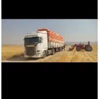 کاه جو درجه یک تو را دارم هرکی خواست درخدمت 13