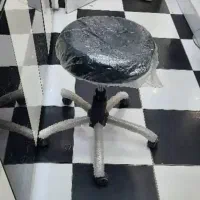 صندلی چرخدار سالنی