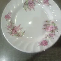 پیش دستی