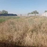 زمین 3300 متر در هریس روستای تازه کند
