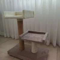 اسکرچر /خونه گربه