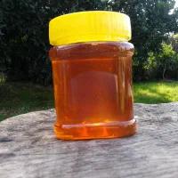عسل طبیعی بلپیر (نیم کیلو)