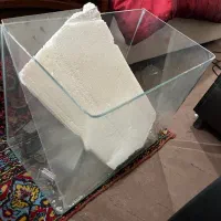 اکواریوم نو