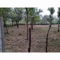 یگ-قطعه-زمین-به-مساحت-300-متر