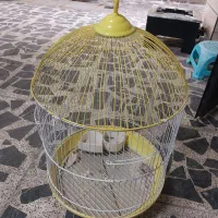 قفس پرنده