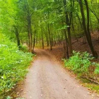 پیاده روی و کوهنوردی