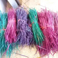 پیشک رنگی