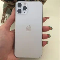 11 pro