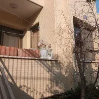 ۴۳۰مترکلنگی اشراق شمالی باپروانه موقعیت عالی