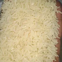 برنج فجر سوزنی اعلا