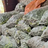 پاک کردن گردو سبز